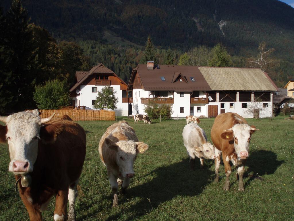 Farm Kosir Villa Kranjska Gora Buitenkant foto