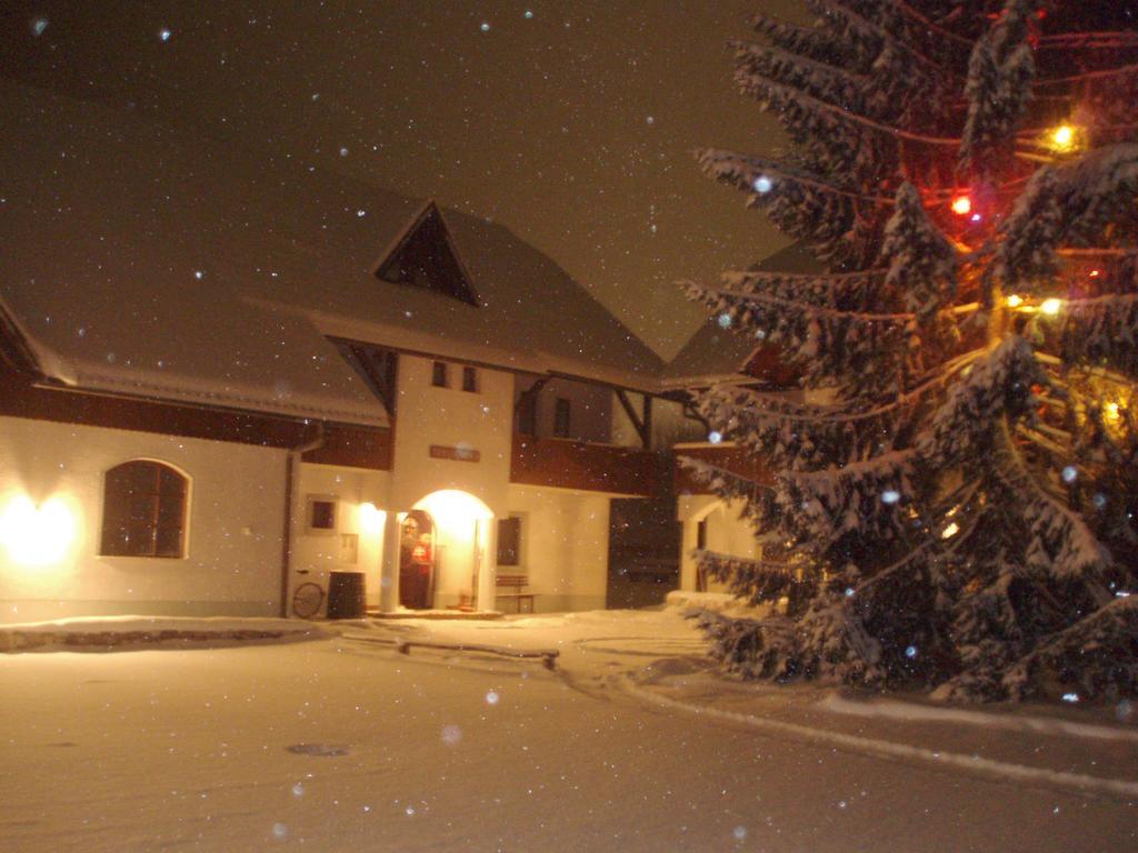 Farm Kosir Villa Kranjska Gora Buitenkant foto