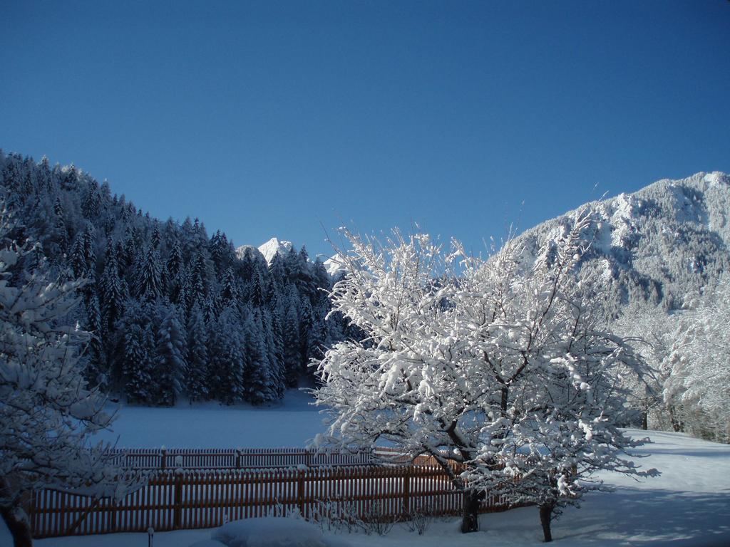 Farm Kosir Villa Kranjska Gora Buitenkant foto