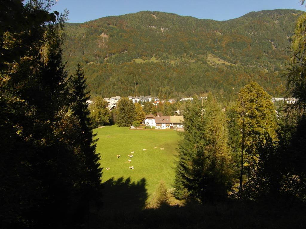 Farm Kosir Villa Kranjska Gora Buitenkant foto