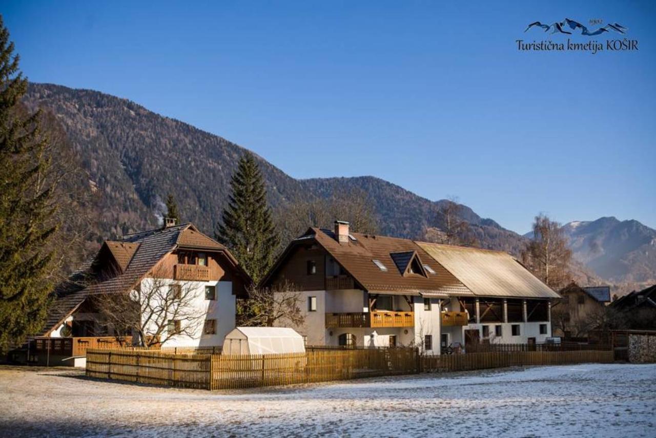 Farm Kosir Villa Kranjska Gora Buitenkant foto